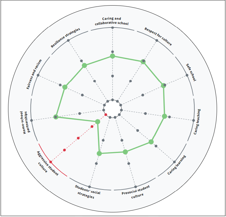 Wellbeing@School Overview Report